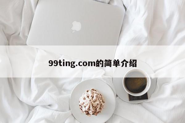 99ting.com的简单介绍