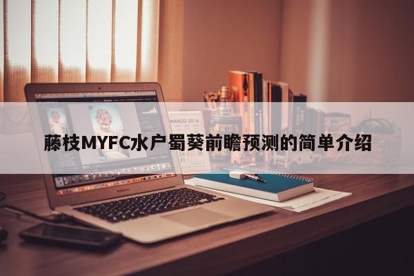 藤枝MYFC水户蜀葵前瞻预测的简单介绍