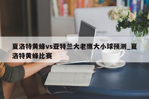 夏洛特黄蜂vs亚特兰大老鹰大小球预测_夏洛特黄蜂比赛