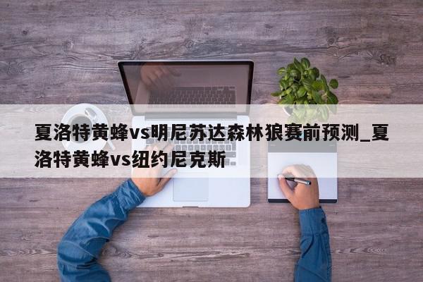 夏洛特黄蜂vs明尼苏达森林狼赛前预测_夏洛特黄蜂vs纽约尼克斯