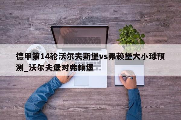 德甲第14轮沃尔夫斯堡vs弗赖堡大小球预测_沃尔夫堡对弗赖堡