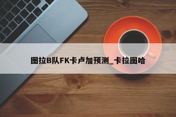 图拉B队FK卡卢加预测_卡拉图哈