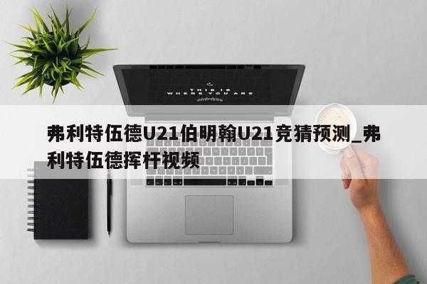 弗利特伍德U21伯明翰U21竞猜预测_弗利特伍德挥杆视频