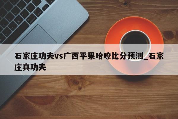 石家庄功夫vs广西平果哈嘹比分预测_石家庄真功夫