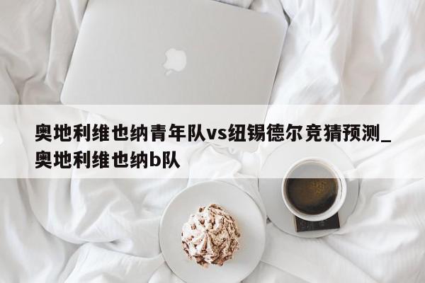 奥地利维也纳青年队vs纽锡德尔竞猜预测_奥地利维也纳b队