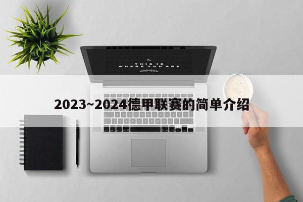 2023～2024德甲联赛的简单介绍